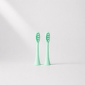 Electric Toothbrush Replacement Heads